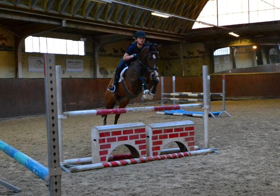 DSP Toftegårdens Alcazar B-pony - Velkommen til Blomstens profil :-) billede 2