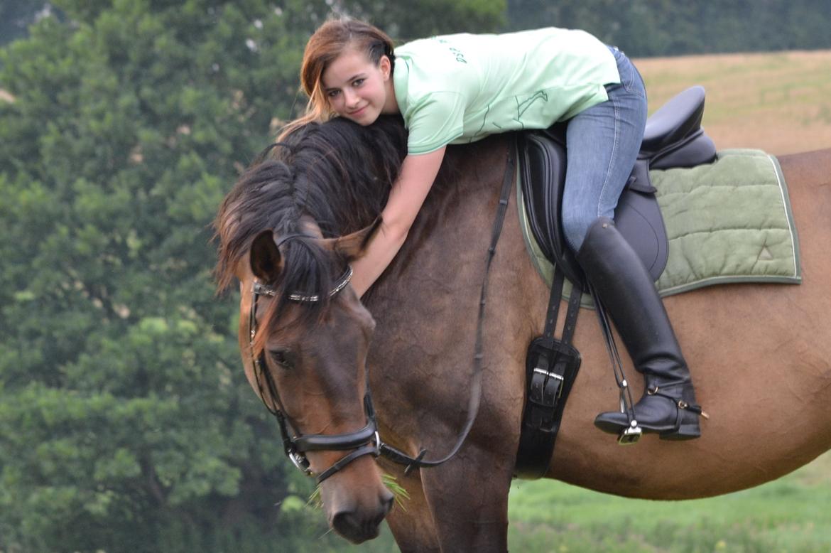 Dansk Varmblod Capitano Af Granlygård RIP<3 billede 31