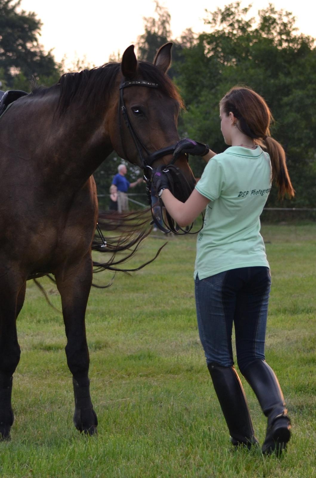 Dansk Varmblod Capitano Af Granlygård RIP<3 billede 39