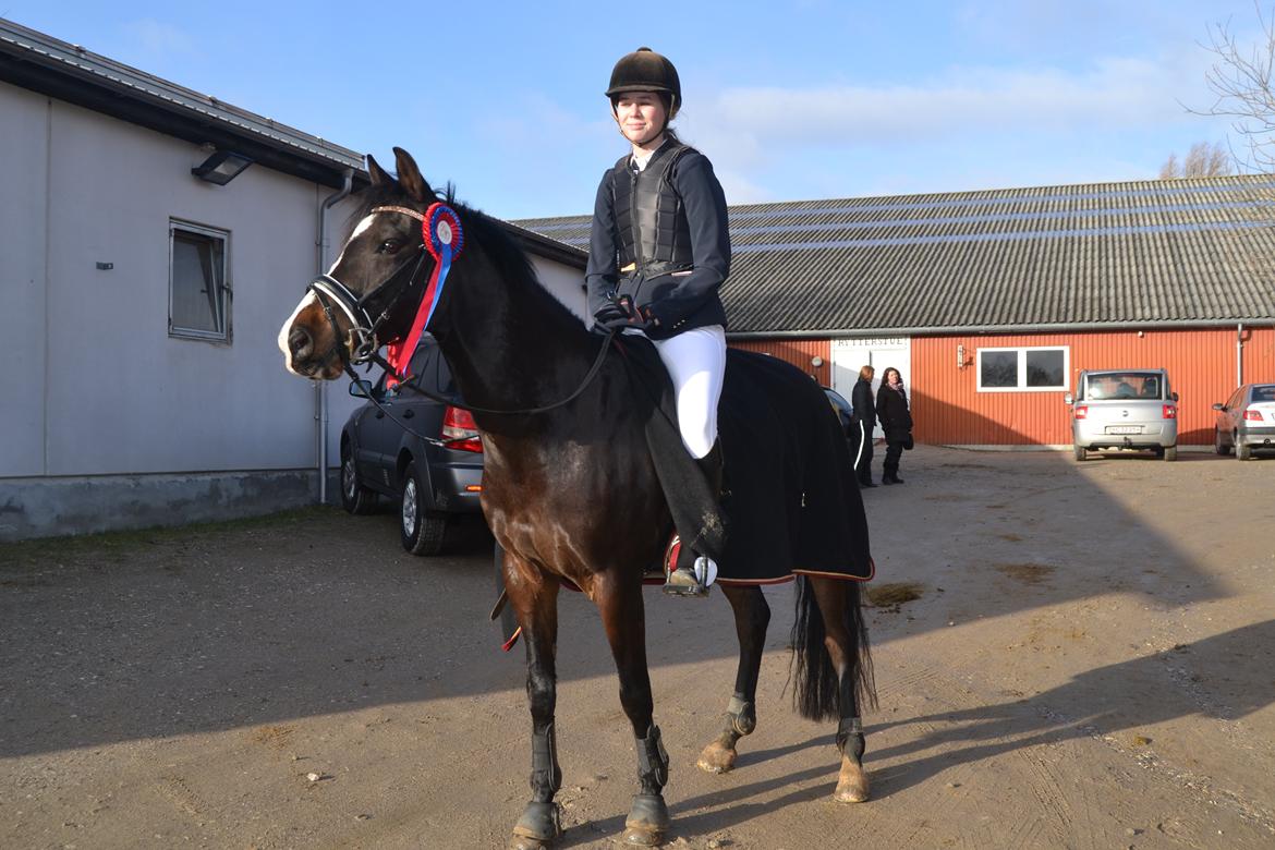 DSP Sebastian B-pony  -  Første stævne og 2 fejlfrie rundter i LC og LB sejeste dreng! <3 Foto Alm billede 8