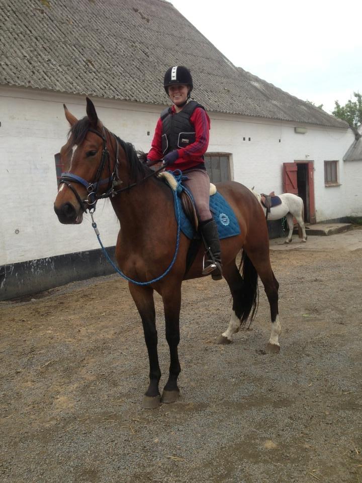 Anden særlig race Siegård's Jolie Marie - Efter første gang i skoven med rytter! :) billede 3