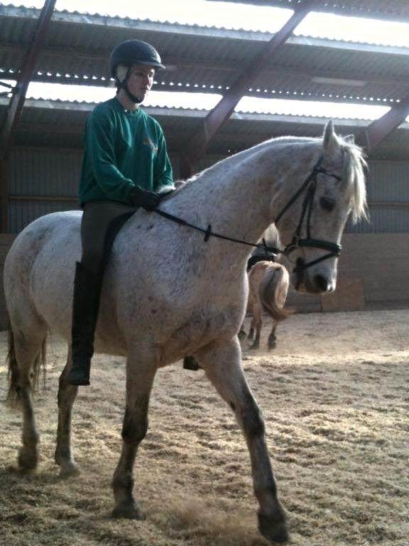Connemara Hedegårdens Junker - Første gang uden sadel og kun tredje gang jeg rider ham for alvor. billede 4