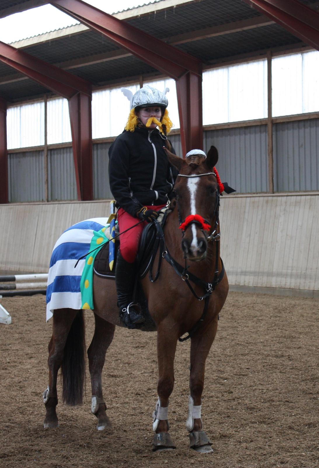 Anden særlig race Sir Ivanhoe - Kostume Spring, på den sødeste pony billede 18