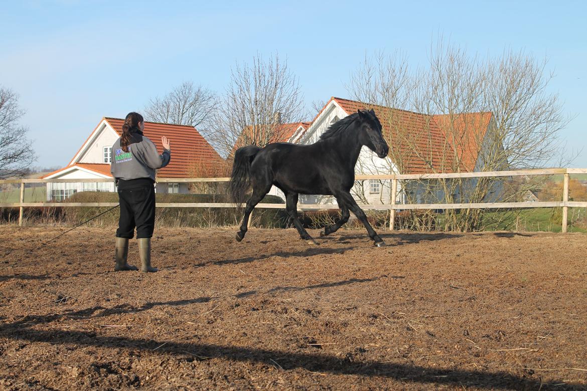 Oldenborg Celine Borrebjerg billede 24