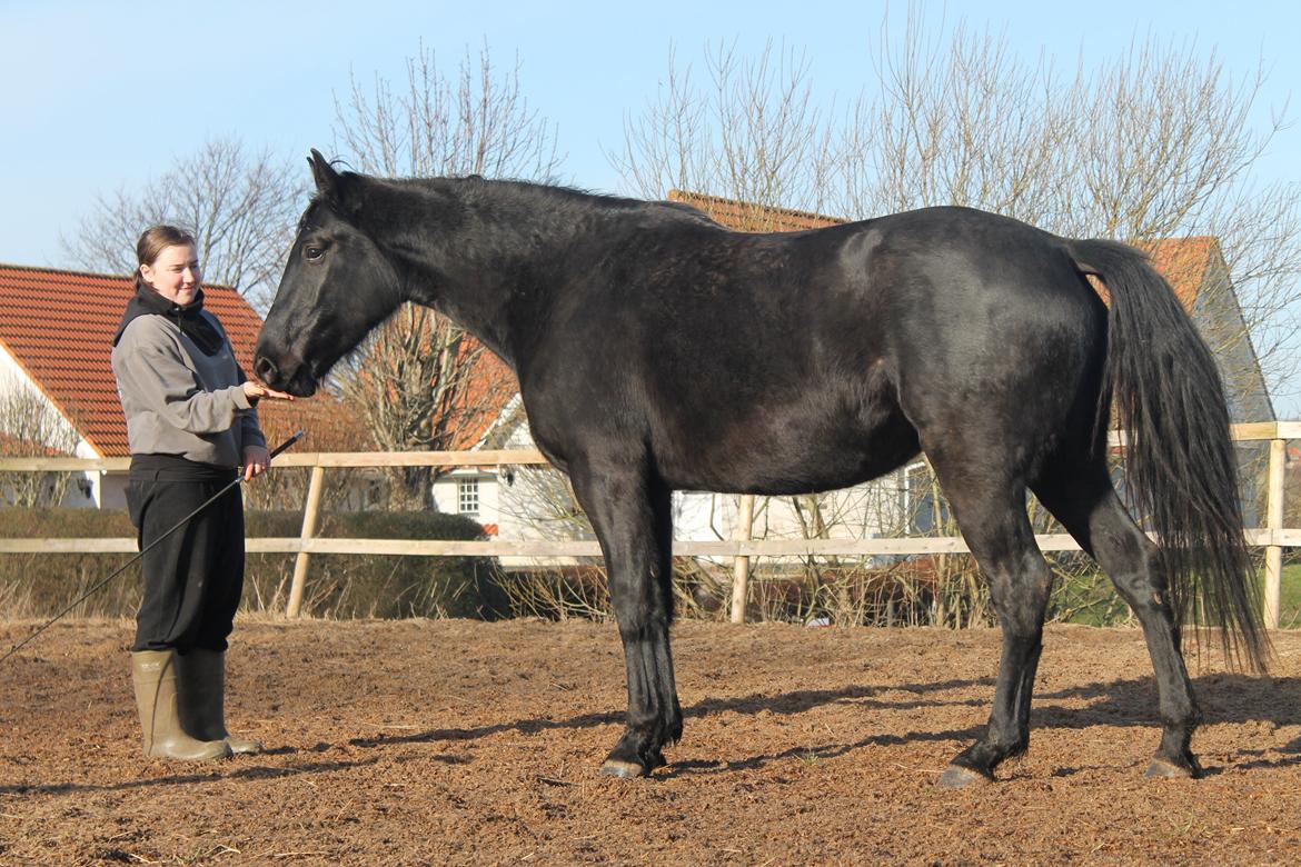 Oldenborg Celine Borrebjerg billede 16