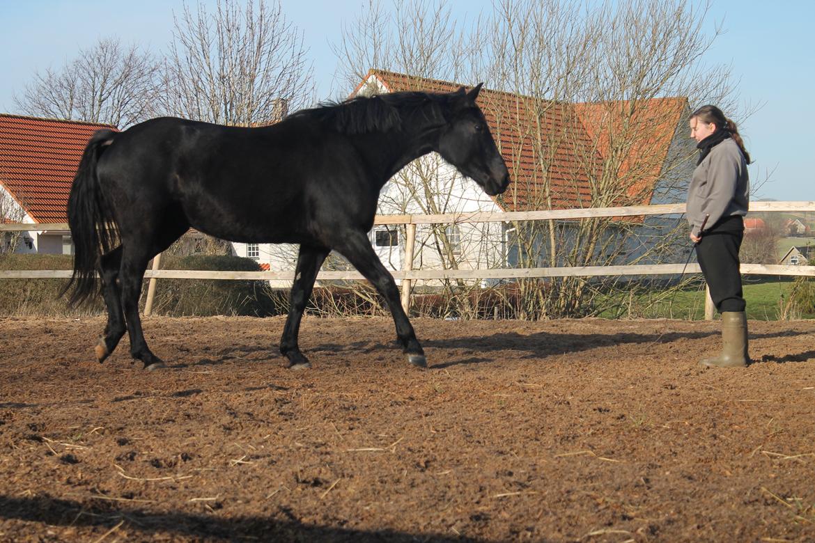 Oldenborg Celine Borrebjerg billede 21