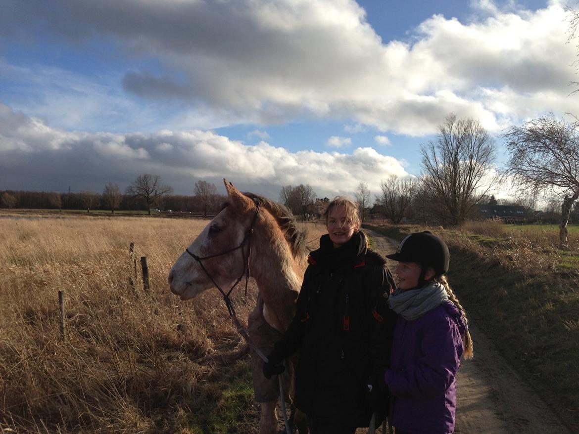 Criollo Diego billede 22