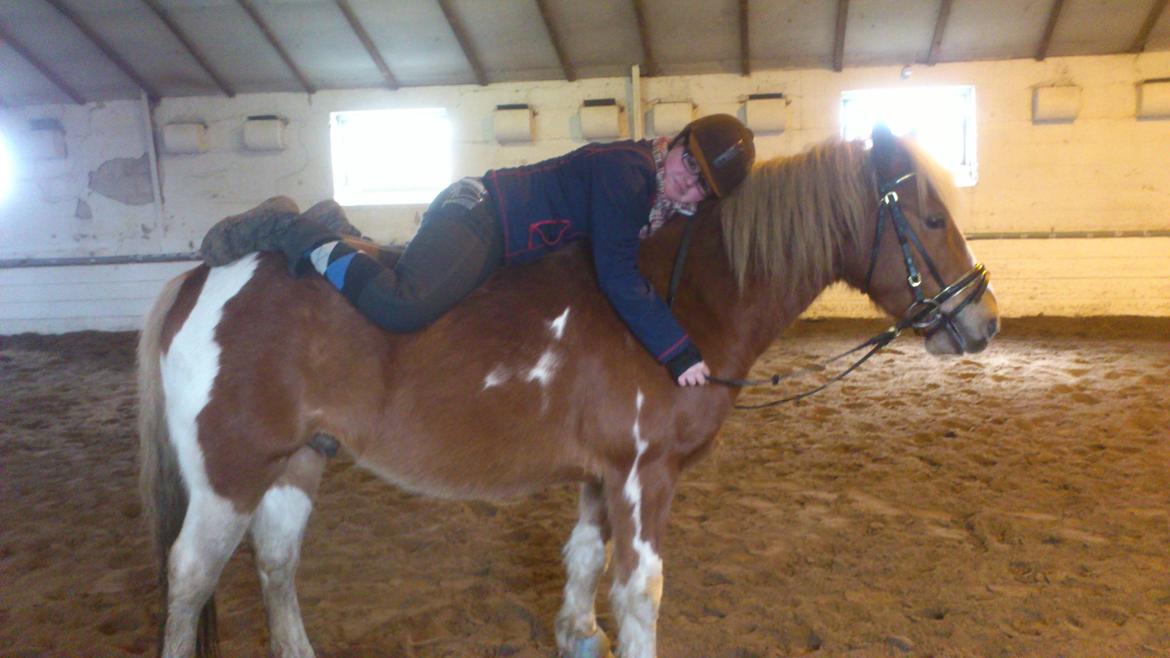 Anden særlig race Hidalgo *Drengerøven* - Min dejlige drengerøv, som er så fræk hele tiden :P  billede 14