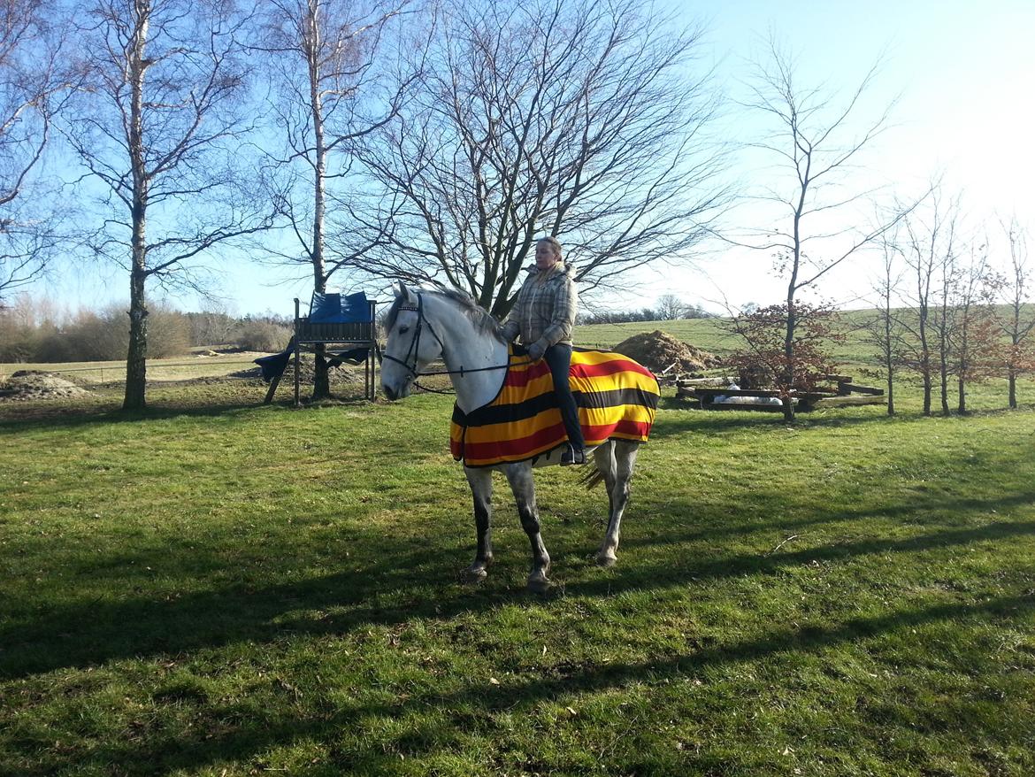 Anden særlig race Isha billede 4