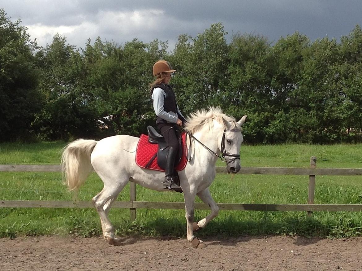 Anden særlig race Spice Girl billede 10