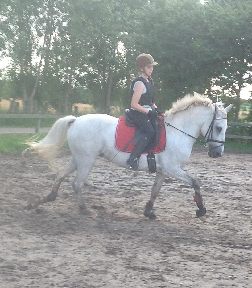 Anden særlig race Spice Girl billede 16