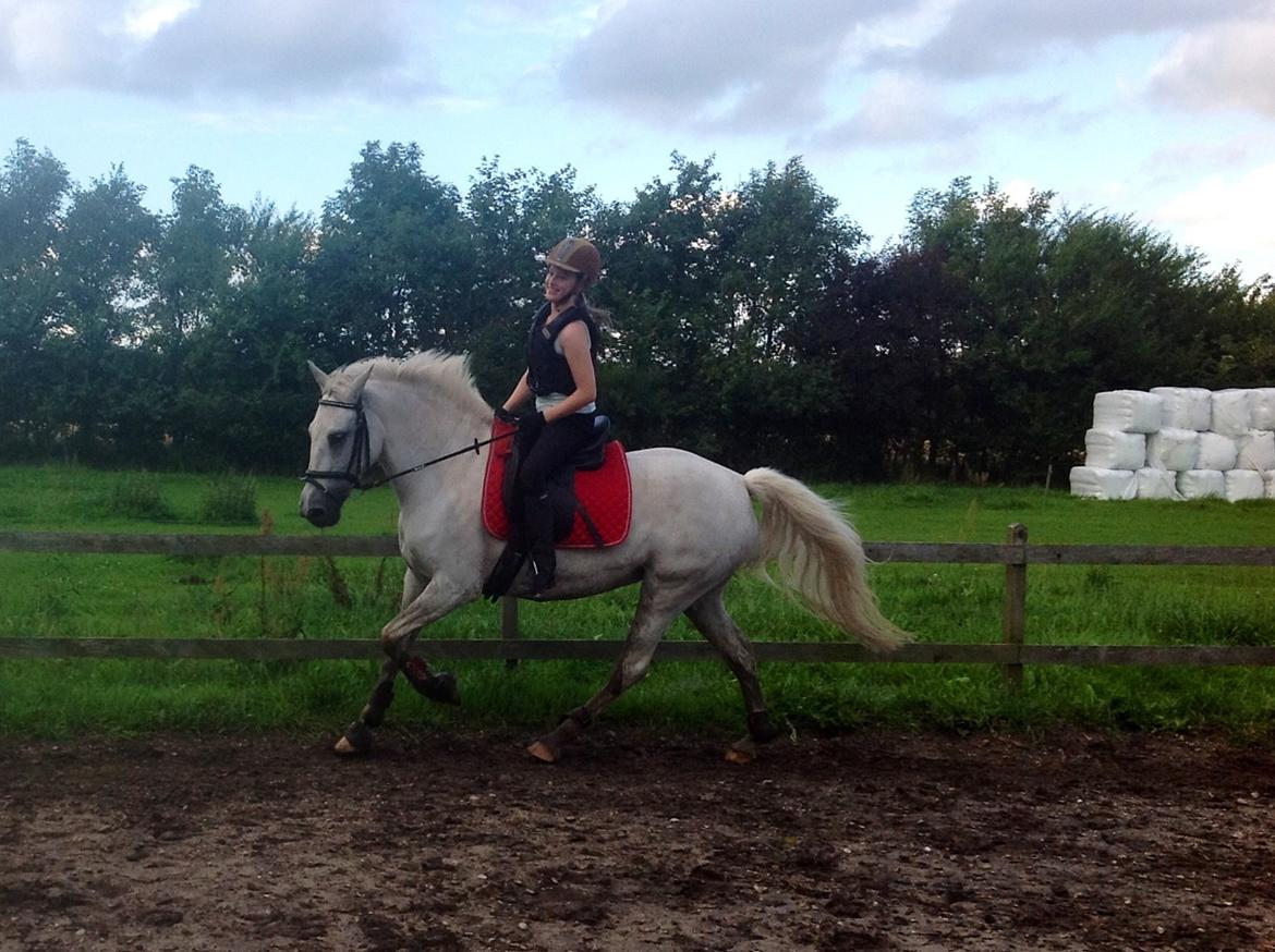 Anden særlig race Spice Girl billede 18