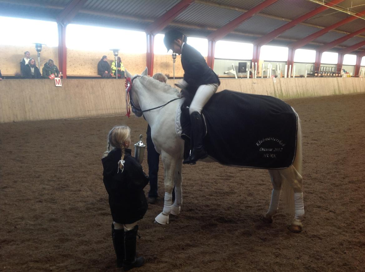 Anden særlig race Spice Girl billede 20