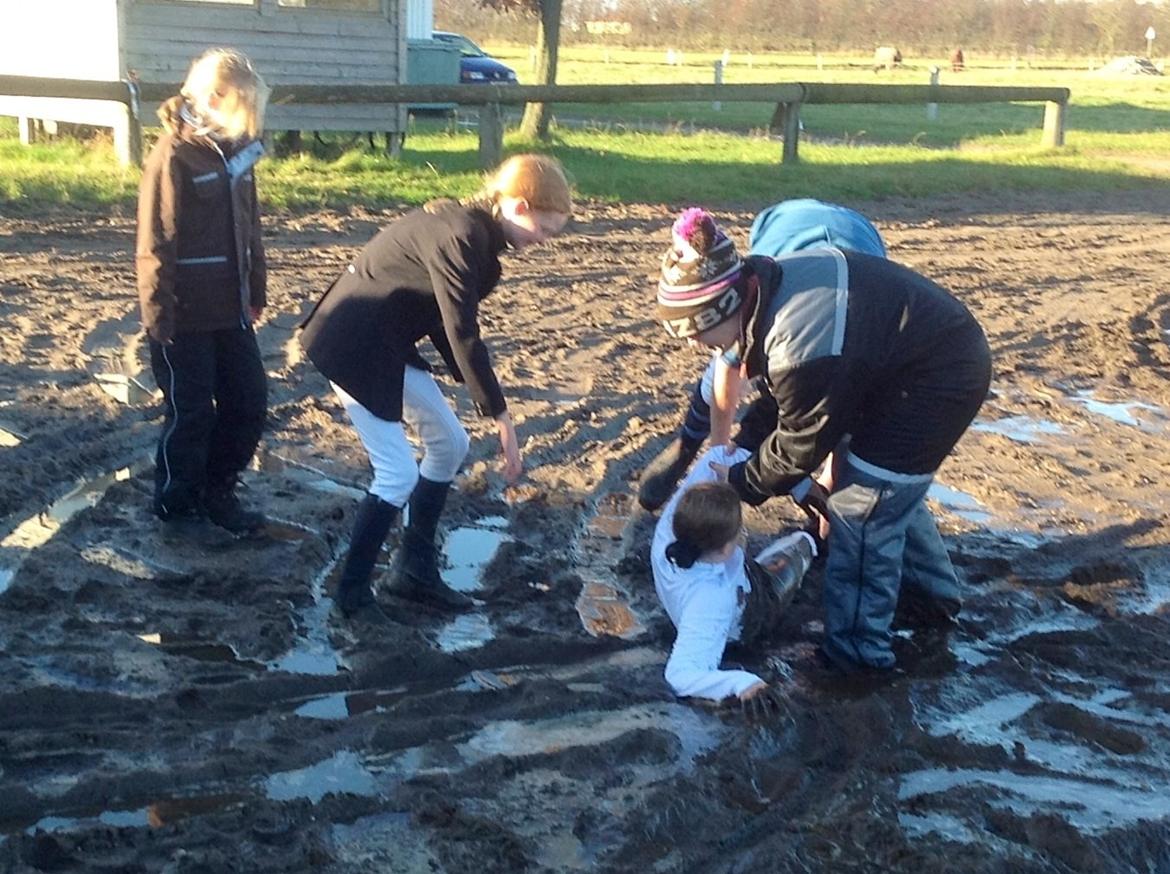 Anden særlig race Spice Girl billede 22