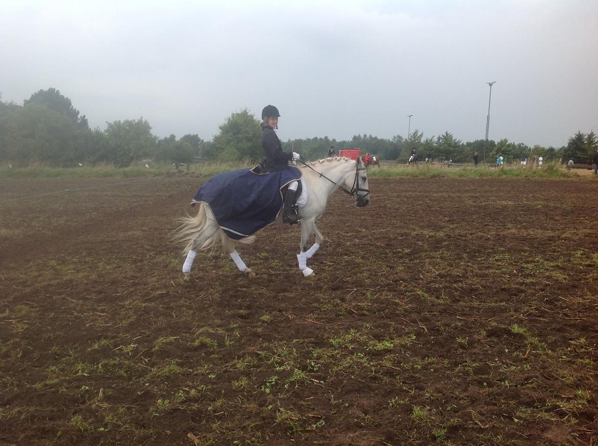 Anden særlig race Spice Girl billede 24