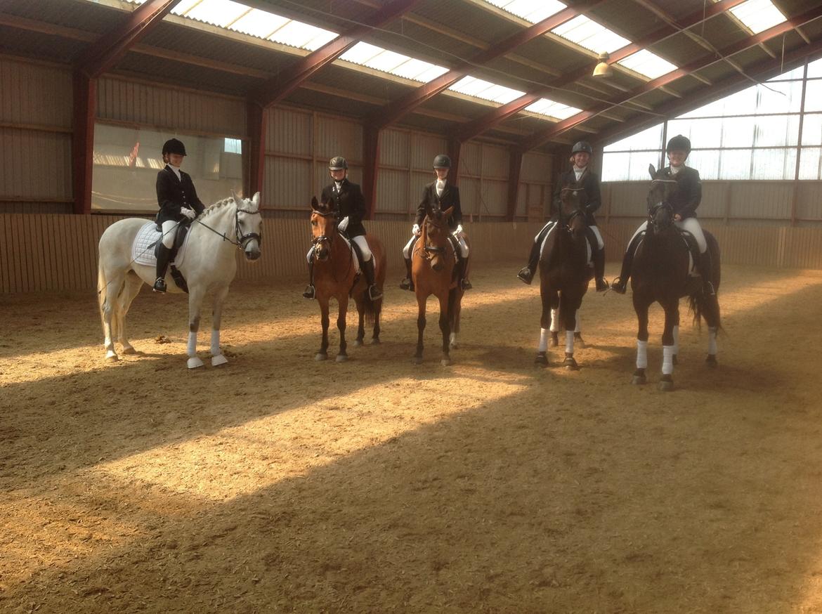 Anden særlig race Spice Girl billede 25