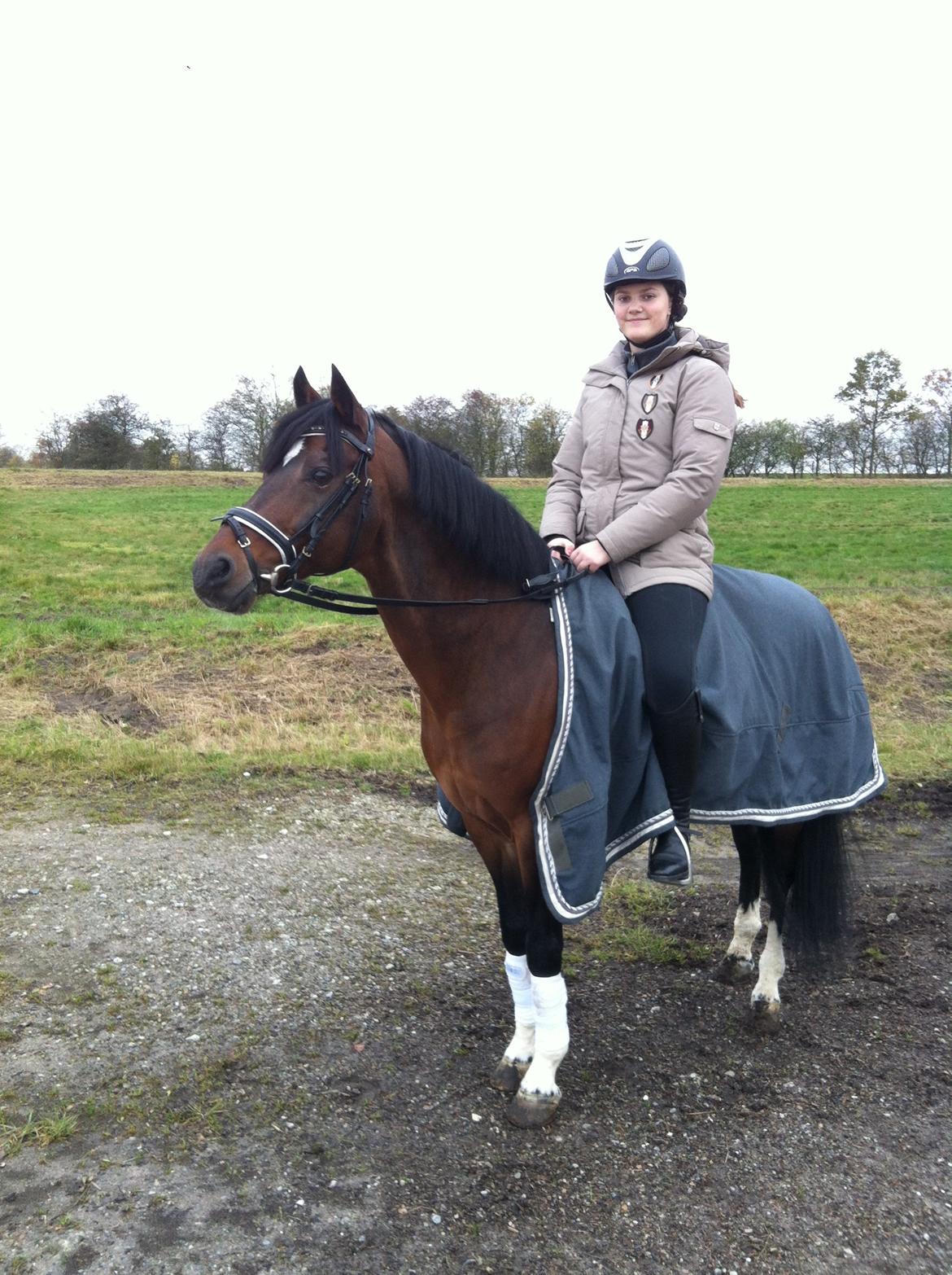 Hollandsk Sportspony Coelenhage's Purioso A-PONY billede 21