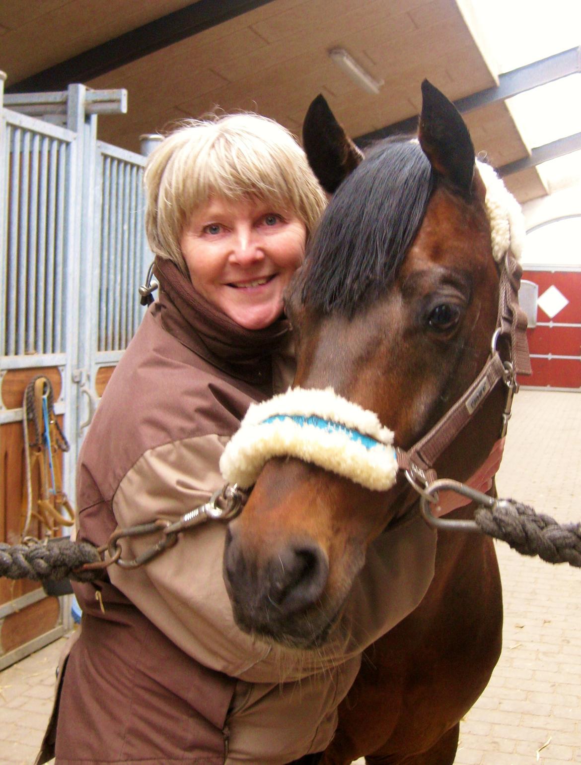 Hollandsk Sportspony Coelenhage's Purioso A-PONY billede 22