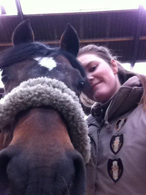 Hollandsk Sportspony Coelenhage's Purioso A-PONY billede 33