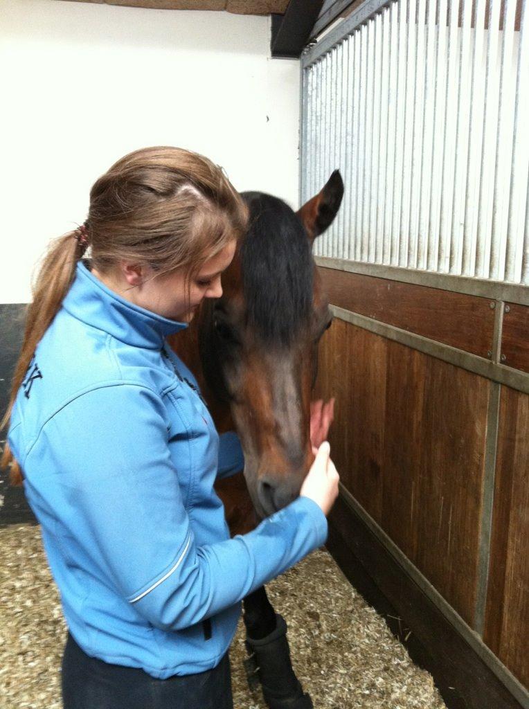 Hollandsk Sportspony Coelenhage's Purioso A-PONY billede 35