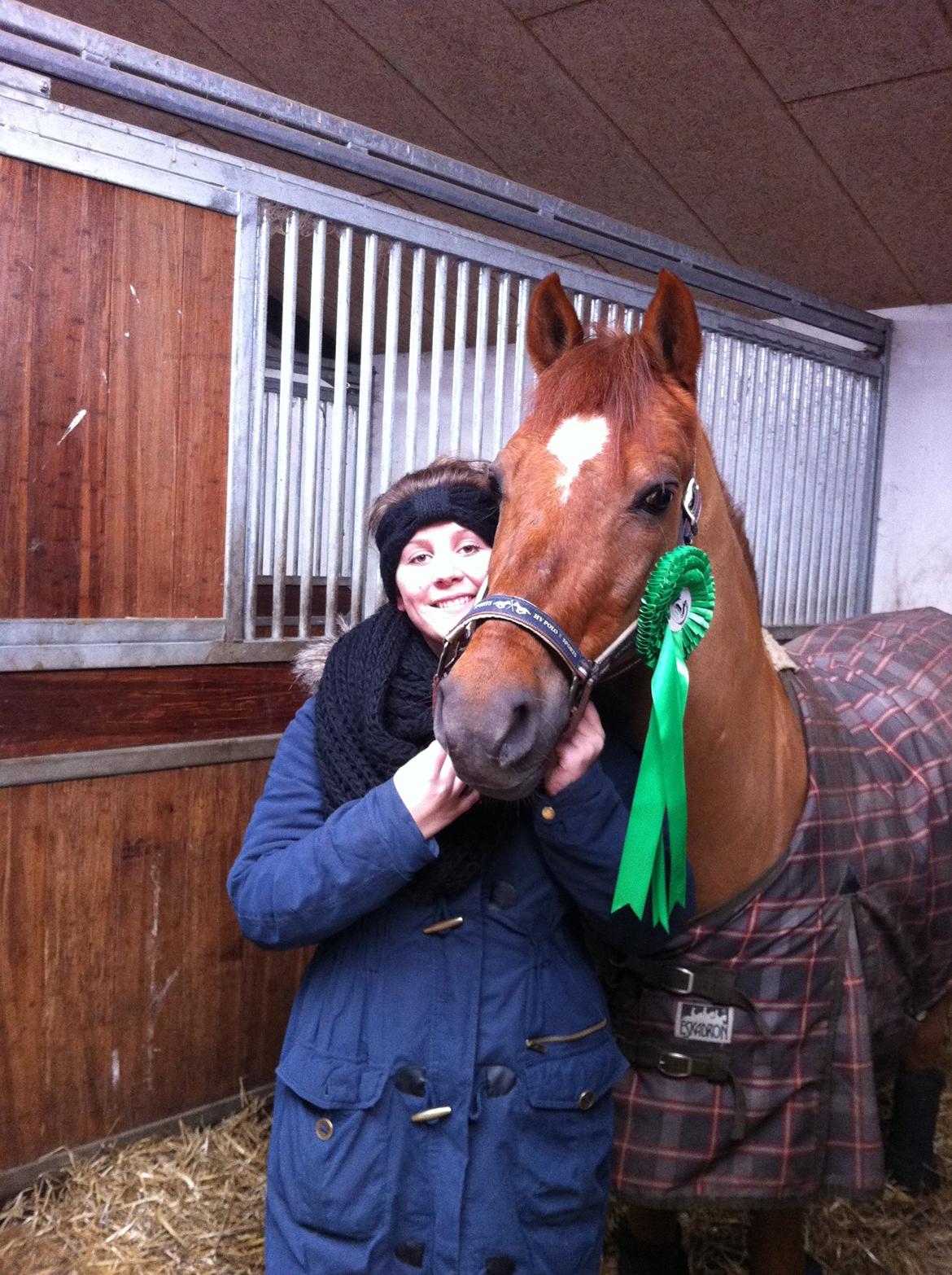 Tysk Sportspony Palermo - A-PONY billede 18