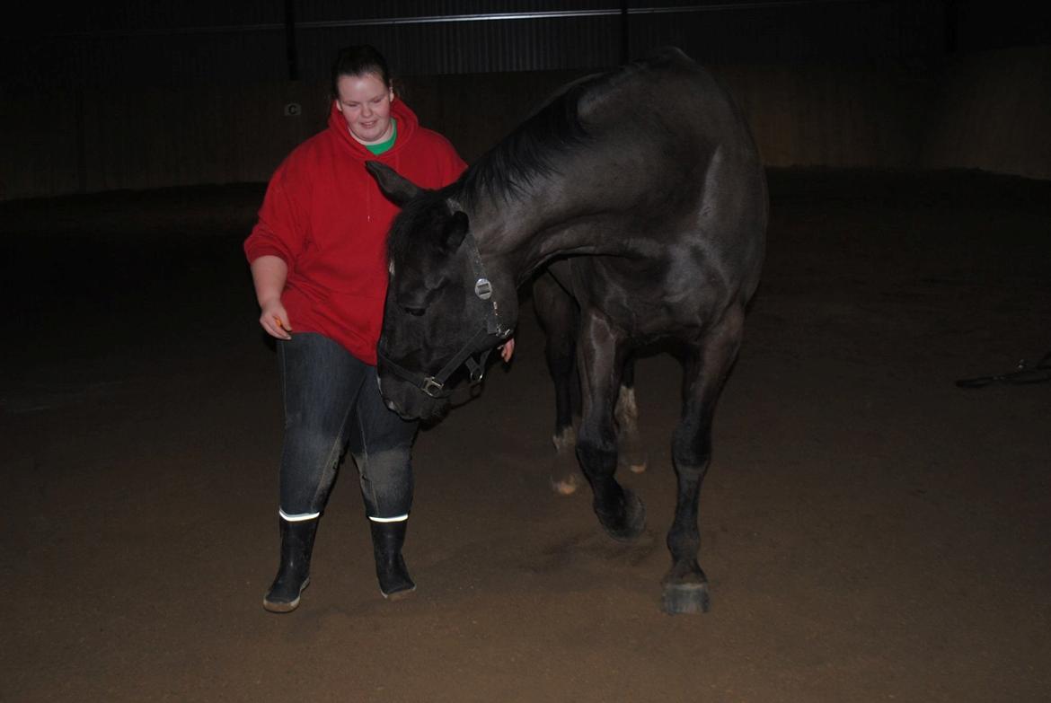 Oldenborg Cody MITET&ALT <3 - Igang med at lære spanske skridt :) billede 26