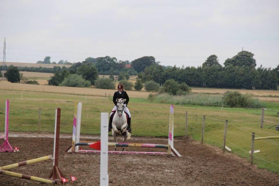 Anden særlig race Boss billede 14