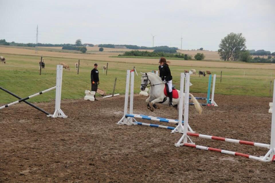 Anden særlig race Boss billede 17