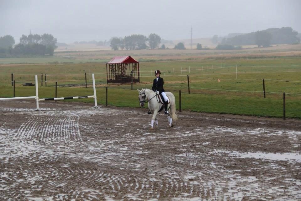 Anden særlig race Boss billede 19