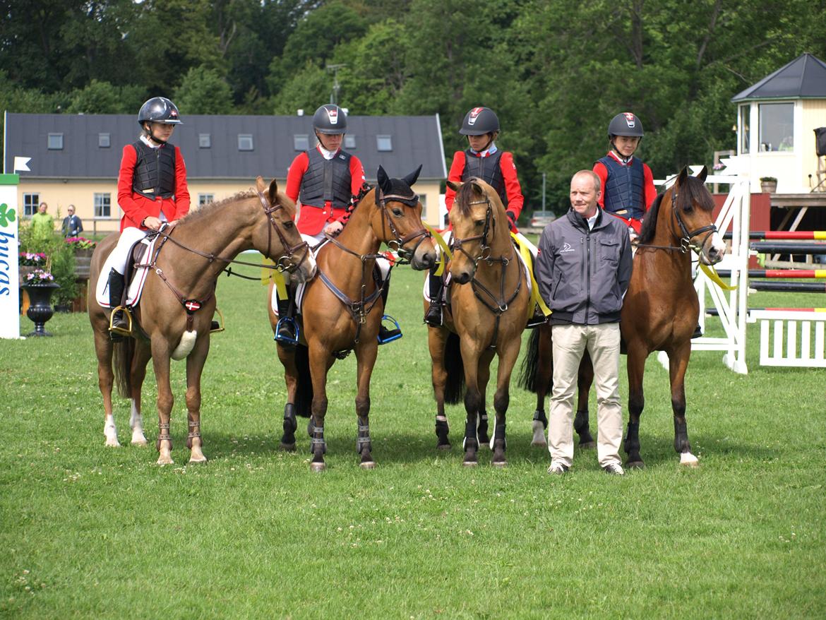 Irsk Sportspony Munsboro Cross billede 18