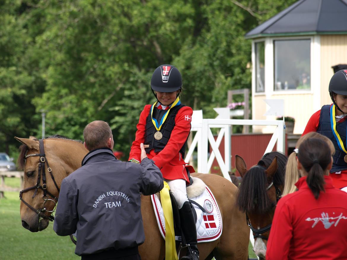 Irsk Sportspony Munsboro Cross billede 20