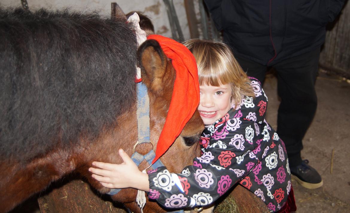 Gotlandsruss Herting - Tess rigtig glad for sin gave 24-12-13 billede 6