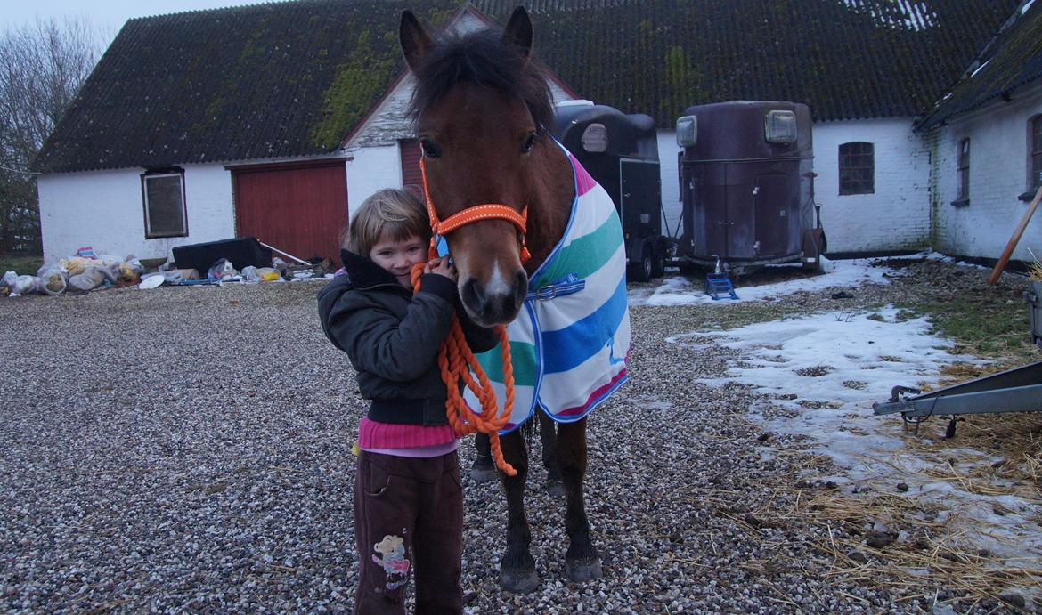 Gotlandsruss Herting - Tess og Herting 5-2-14 billede 9