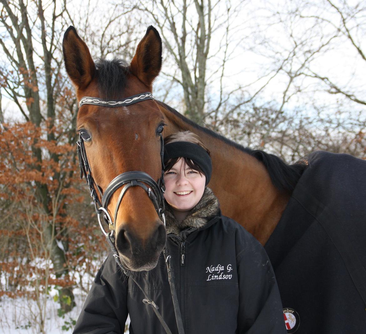 Dansk Varmblod Tirane - vi hygger i sneen :) billede 16