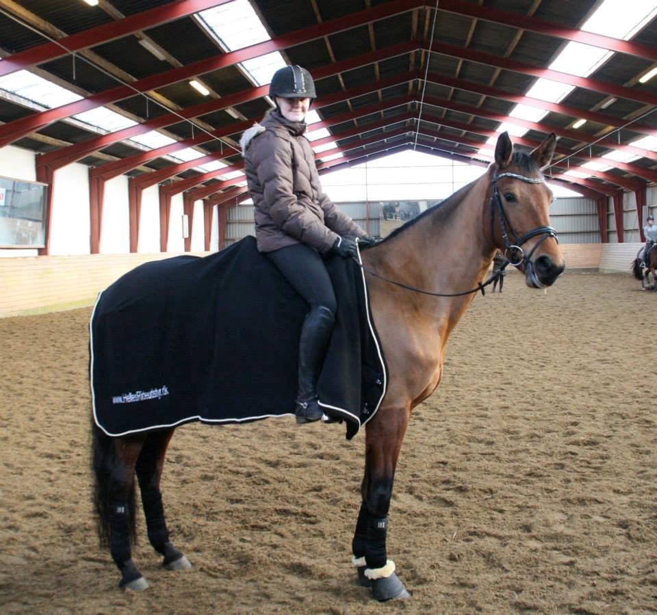 Dansk Varmblod Tirane - Tirane til undervisning ved Gunnild :) billede 19