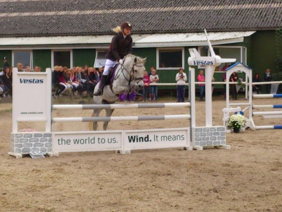 DSP Toftegaardens Ember billede 6