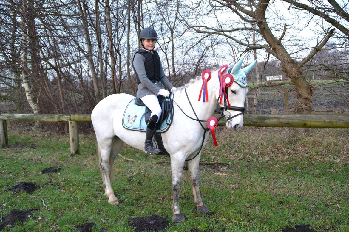 Irsk Sportspony Phantom - C-stævne Kallehavegaard. 4 nul runder. billede 1