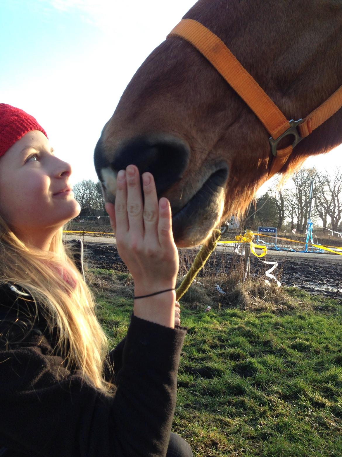 Anden særlig race Vsr st. laban - skatte<3<3 foograf: emilie billede 1