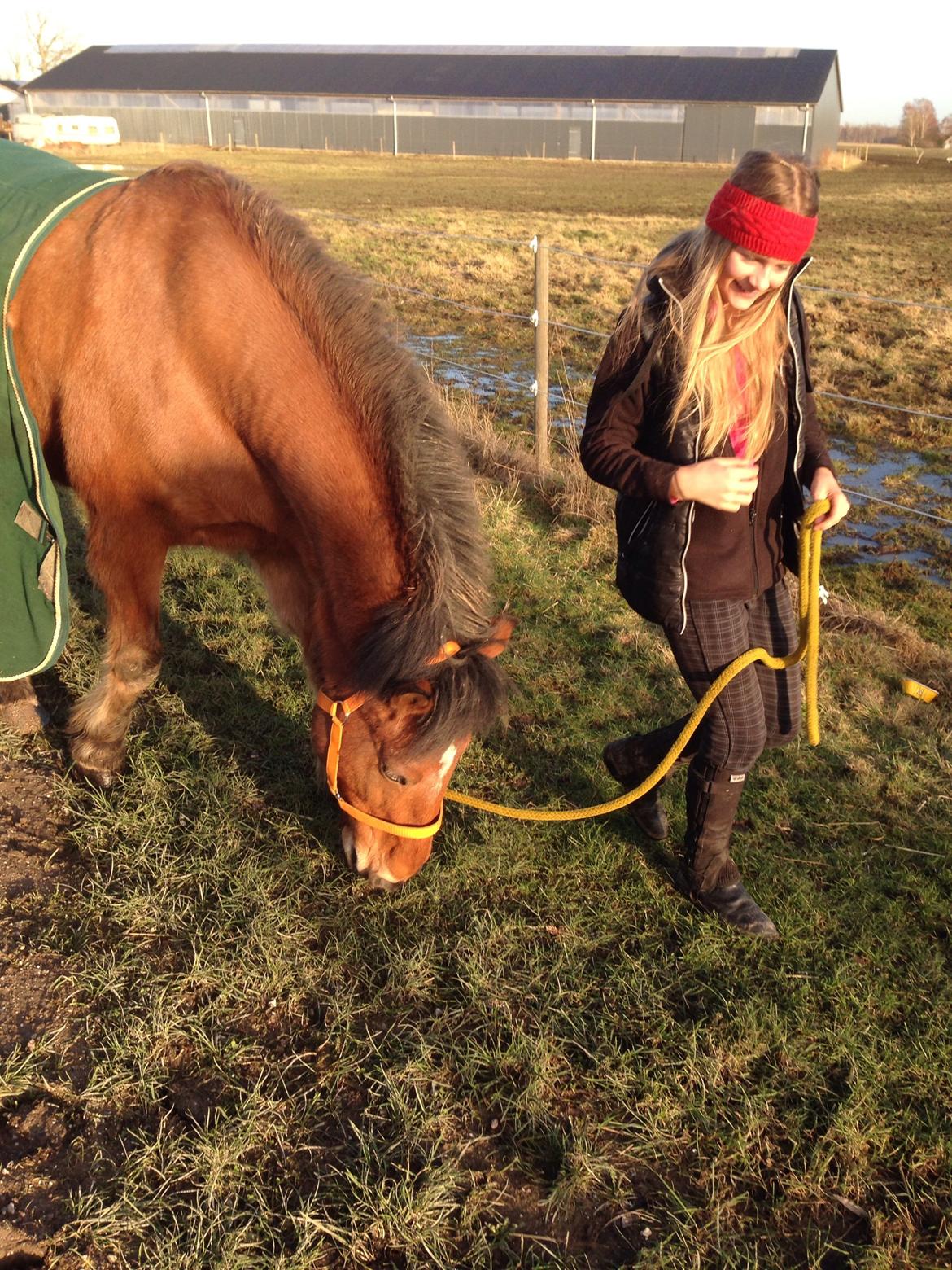 Anden særlig race Vsr st. laban - dejlige basse:) <3 fotograf: emilie billede 2
