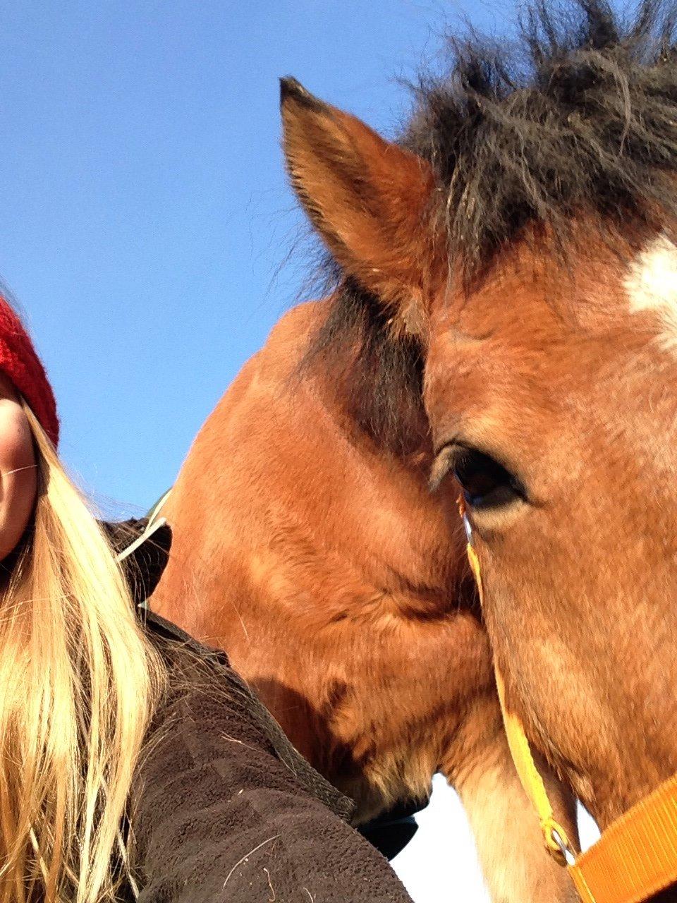 Anden særlig race Vsr st. laban - skatttt! du erperfekt i mine øjne<3 fotograf: migggg! billede 3