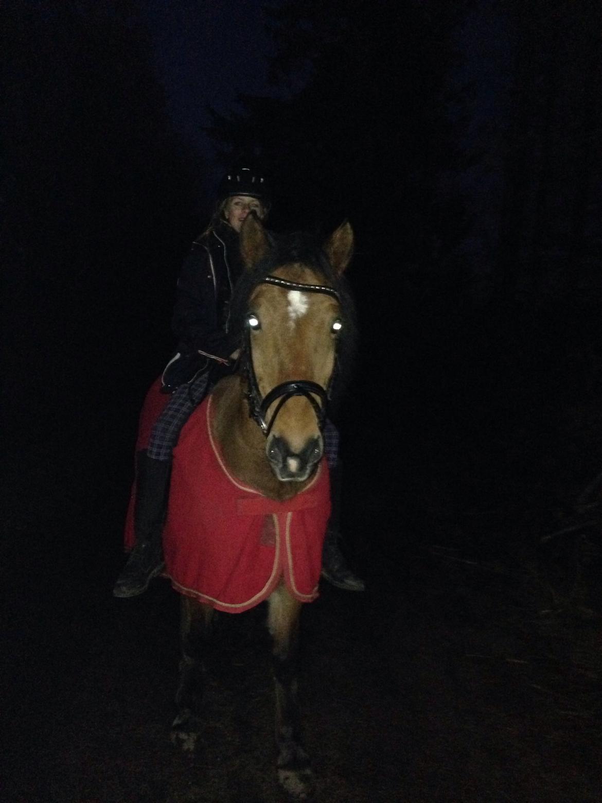 Anden særlig race Vsr st. laban - første skovtur uden sadel kl.18 så rimligt mørkt! fotogaf sara<3 billede 9