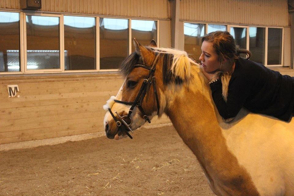 Pinto Stald poppels Hollywood Holy-man R.I.P MIN ENGEL - sidste dag med min savnet engele pony <3 billede 20