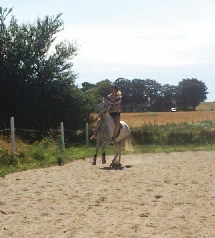 Anden særlig race • Lakota • - Gallop på vilddyret uden sadl! <3 billede 7