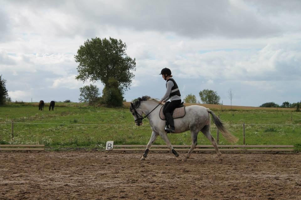 Anden særlig race • Lakota • - Velkommen til Lakota's profil! :-* billede 1