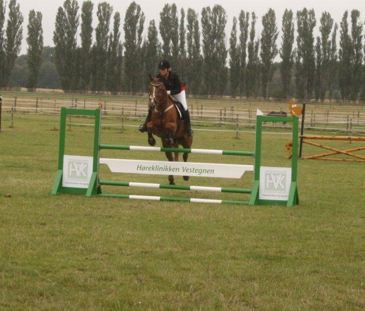 Anden særlig race Magic Lady - LC vestegnsmesterskaberne 2010 hold. billede 37