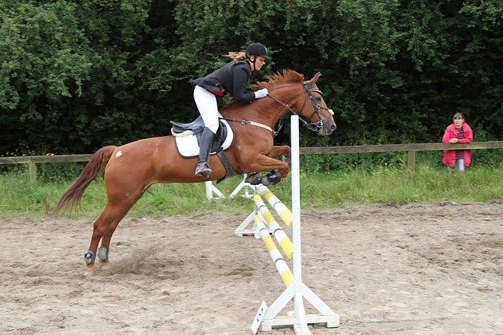 Anden særlig race Magic Lady - LD Juniormesterskab 2010. billede 39