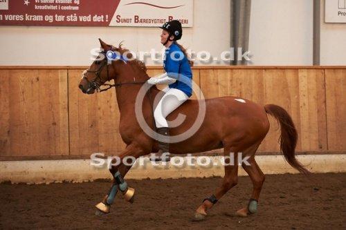 Anden særlig race Magic Lady - En 2. plads i barebag klasse til showstævne. billede 44