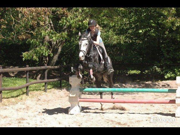 Oldenborg Cassandra *STJERNE* billede 23