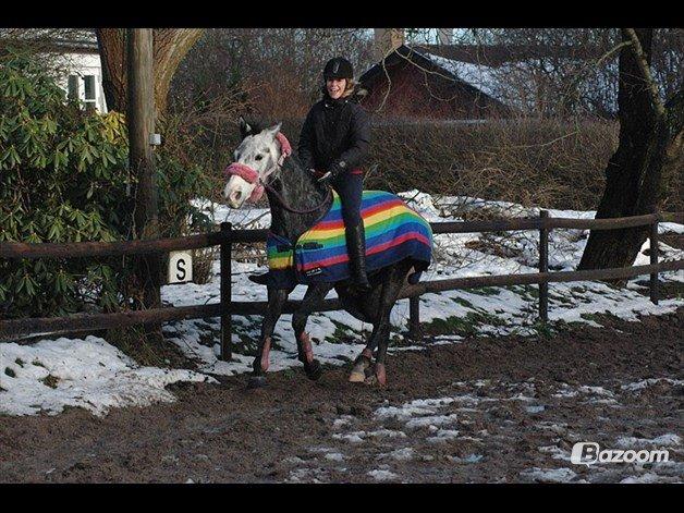 Oldenborg Cassandra *STJERNE* billede 42