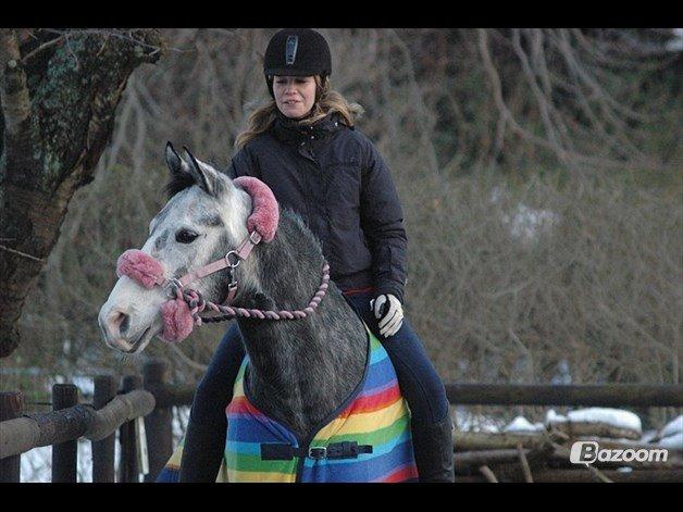 Oldenborg Cassandra *STJERNE* billede 43